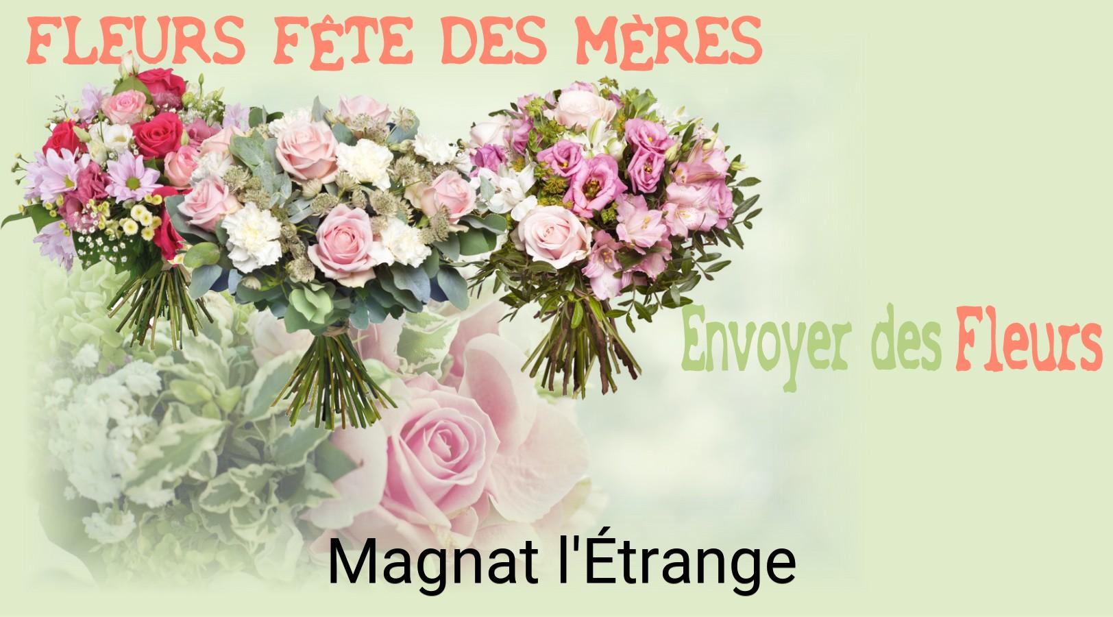 Bouquet de Fête des Mères livré à Magnat-l'Étrange
